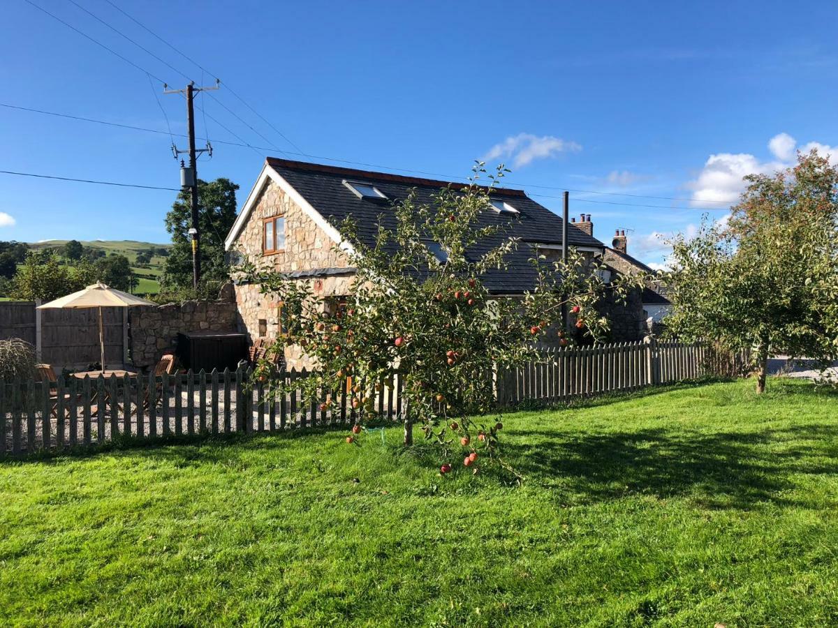 Holiday home Ty Gylfinir Llandegla