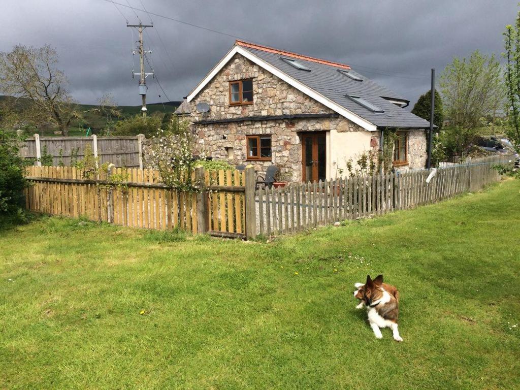 Ty Gylfinir Holiday home *